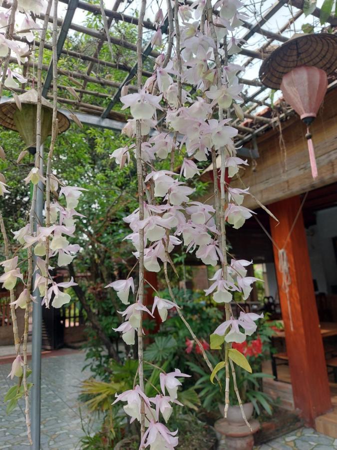 Trang An Family Homestay 닌빈 외부 사진